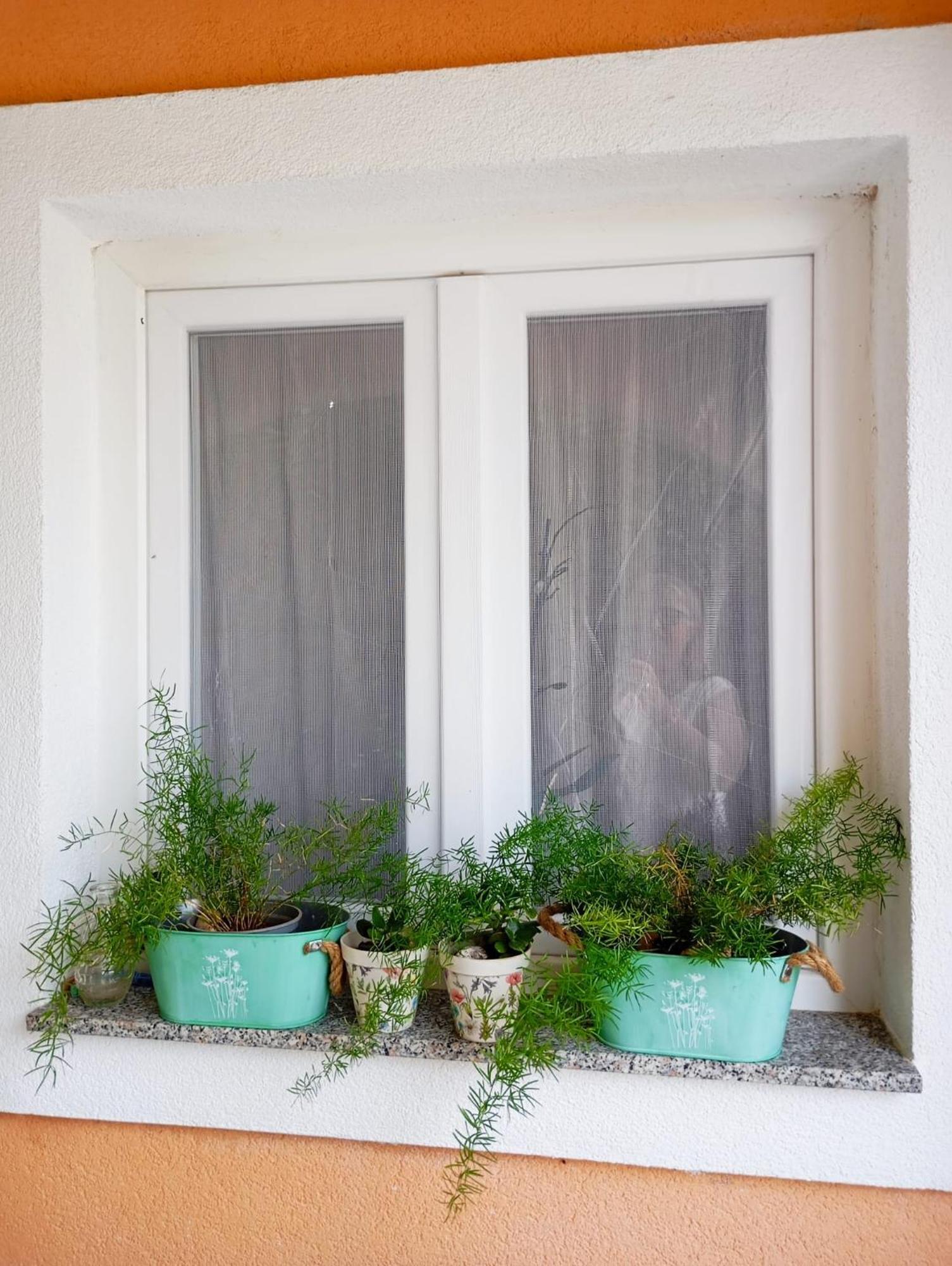 Apartmani Joja Biograd Na Moru Dış mekan fotoğraf